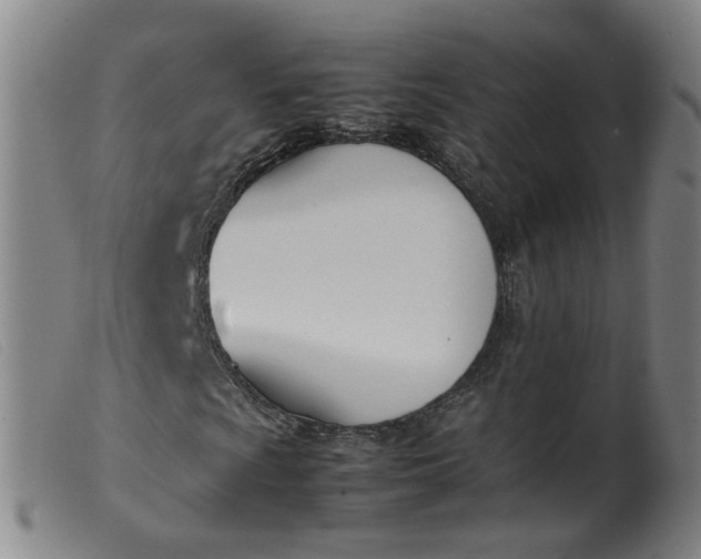 X0000099401009200805221850