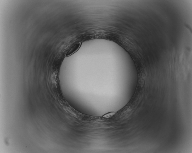 X0000099401010200805221850