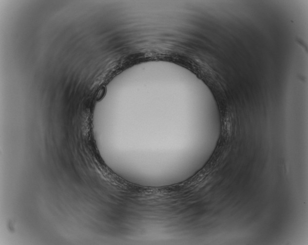 X0000099401012200805221850