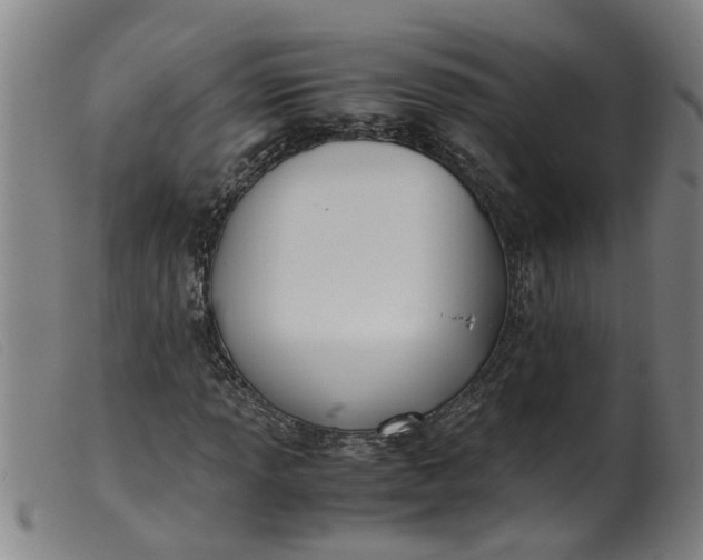 X0000099401013200805221850