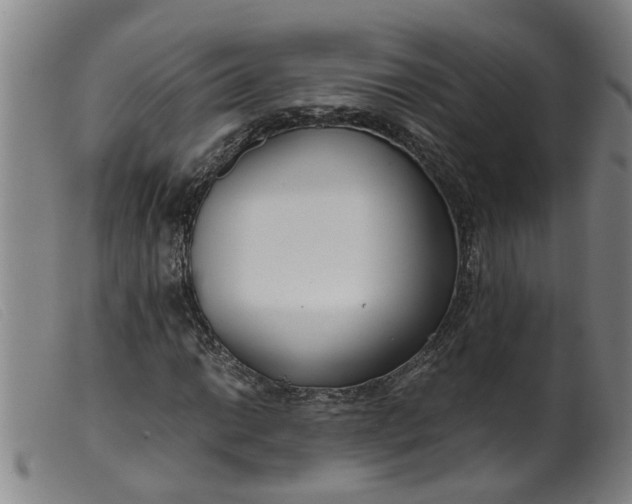 X0000099401014200805221850