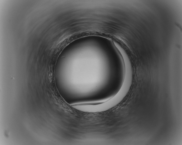 X0000099401015200805221850