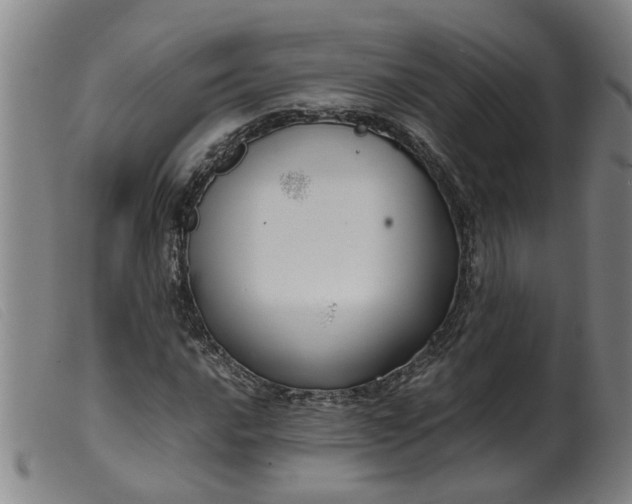 X0000099401016200805221850