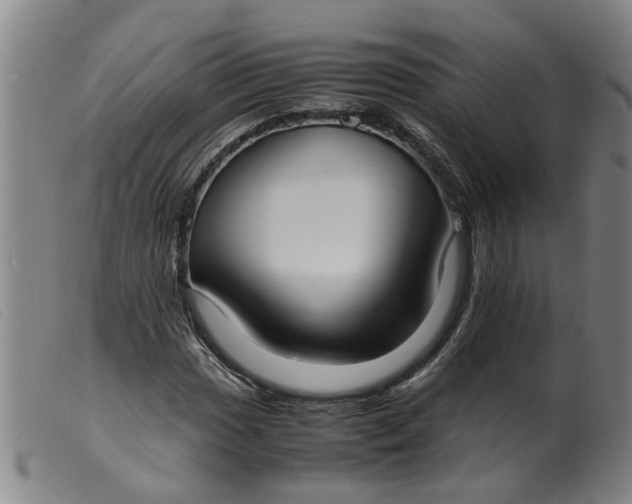 X0000099401017200805221850