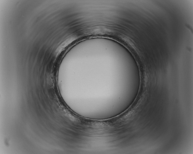 X0000099401018200805221850