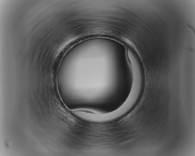 X0000099401019200805221850