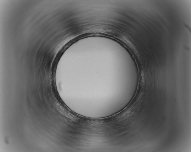 X0000099401020200805221850