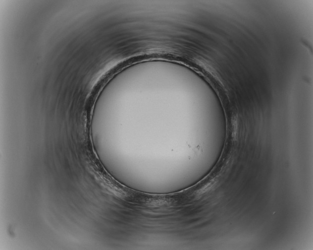 X0000099401021200805221850