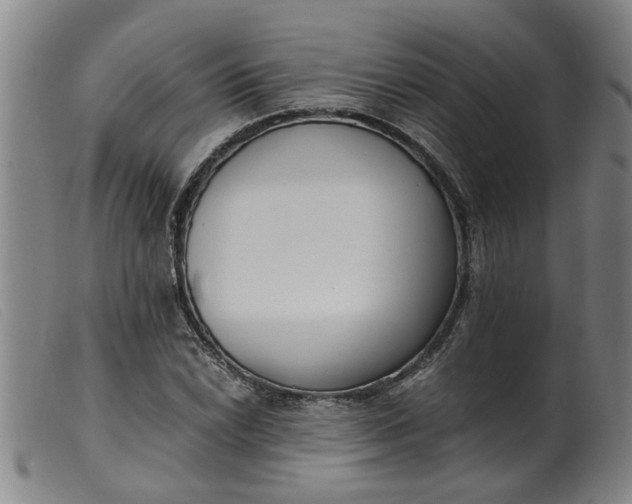 X0000099401022200805221850