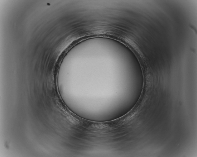 X0000099401023200805221850