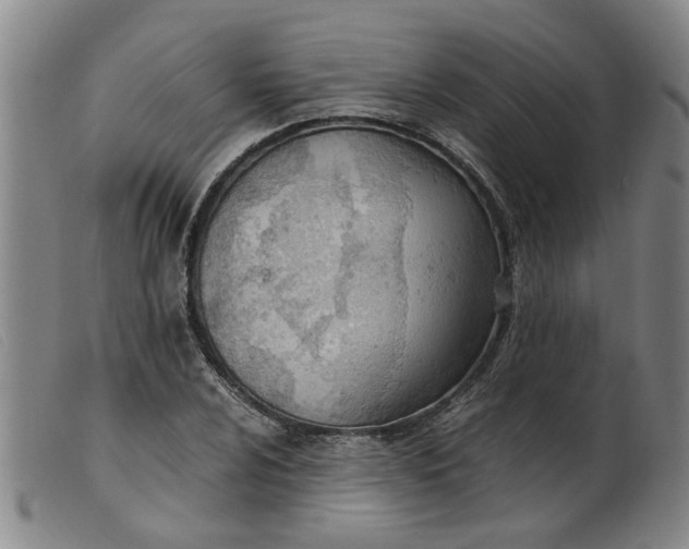 X0000099401024200805221850