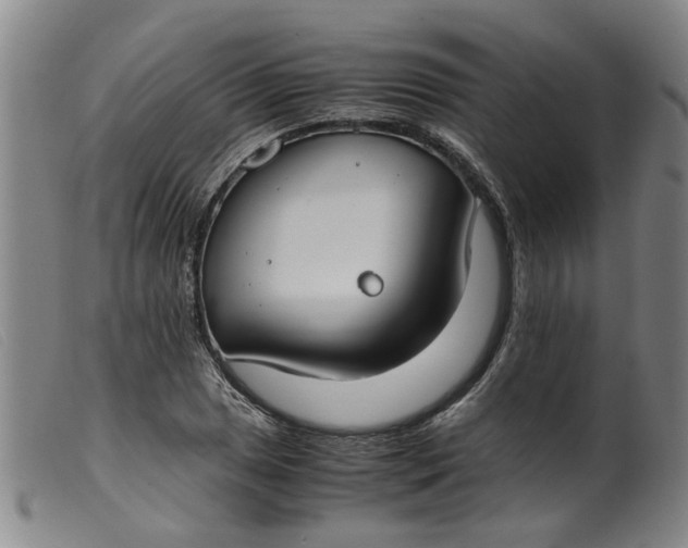 X0000099401025200805221850