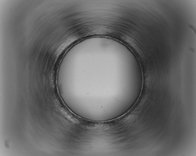 X0000099401026200805221850