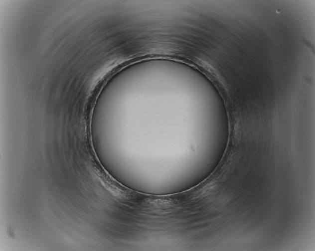 X0000099401027200805221851