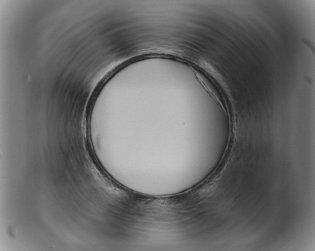 X0000099401028200805221851