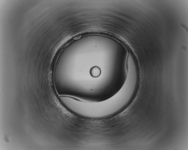 X0000099401029200805221851