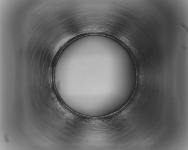 X0000099401030200805221851