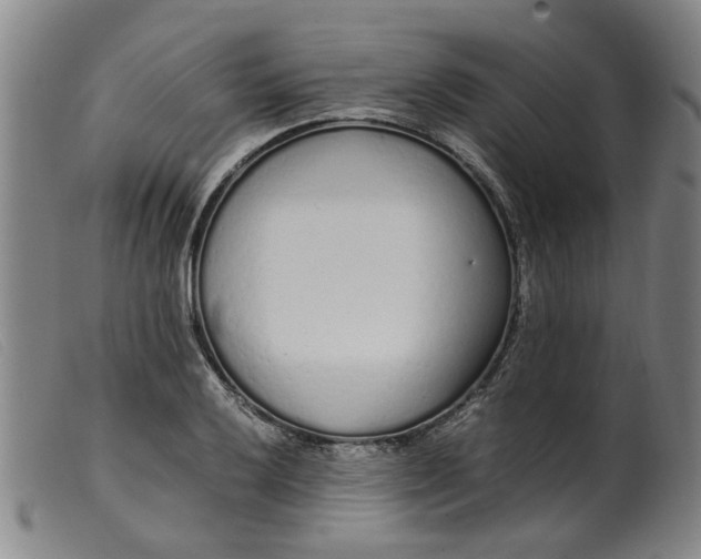 X0000099401032200805221851