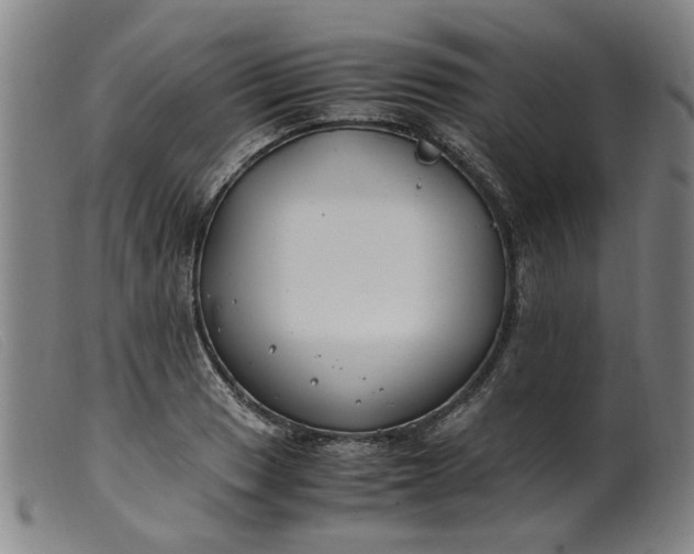 X0000099401033200805221851