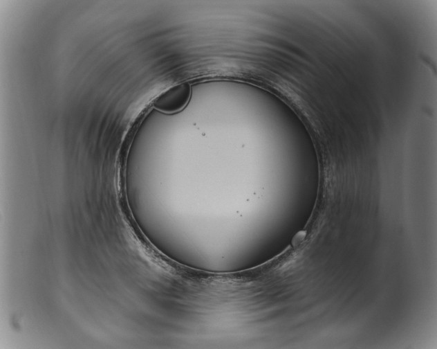 X0000099401034200805221851