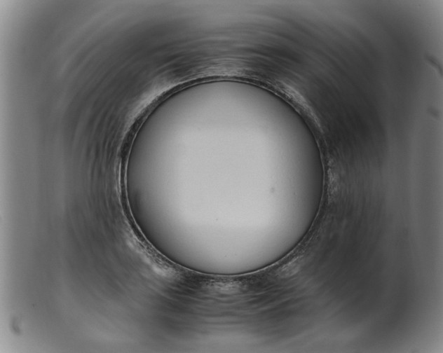 X0000099401035200805221851