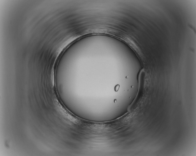 X0000099401036200805221851