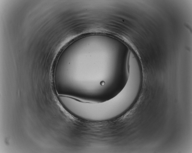 X0000099401037200805221851