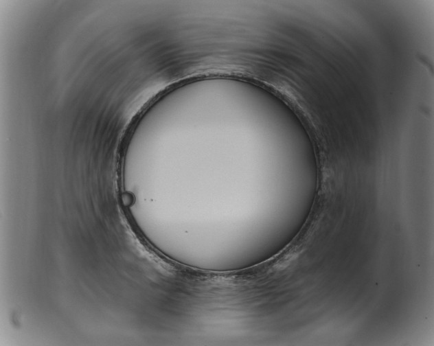 X0000099401038200805221851