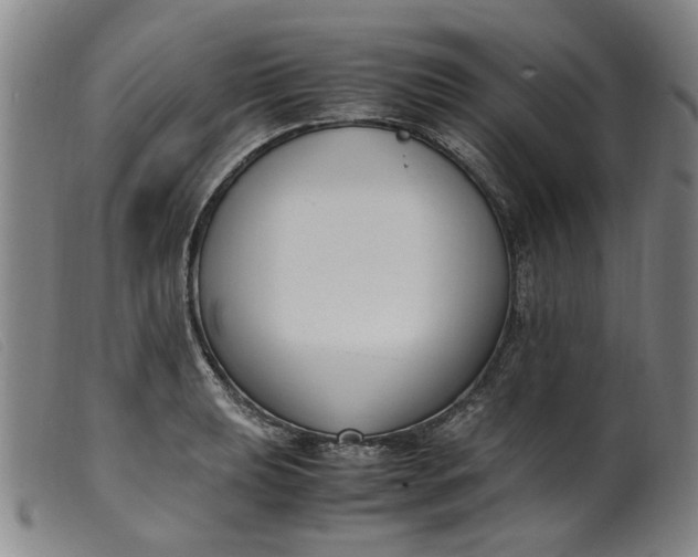 X0000099401039200805221851