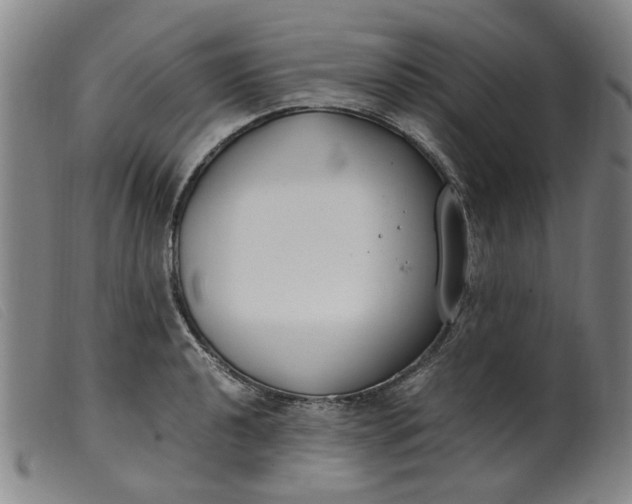 X0000099401040200805221851