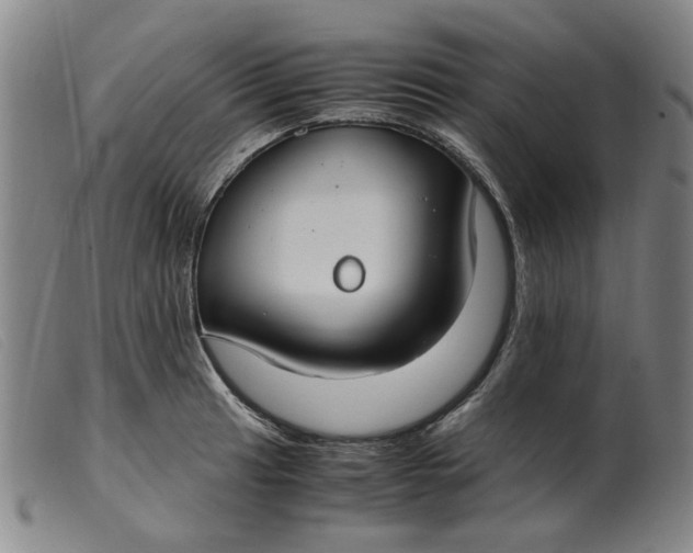 X0000099401041200805221851