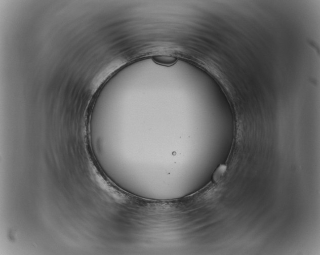 X0000099401042200805221851