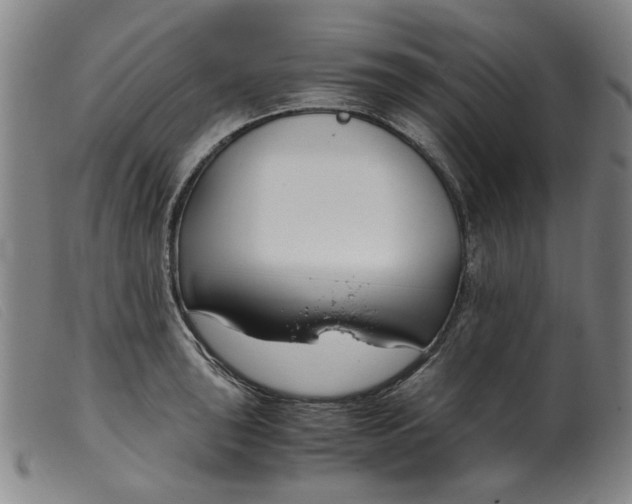 X0000099401043200805221851