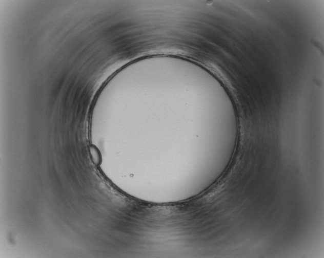 X0000099401044200805221851