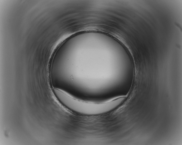 X0000099401045200805221851