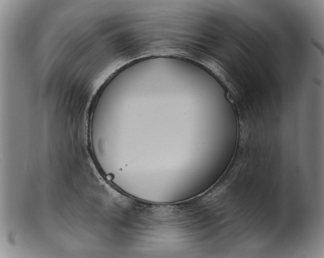 X0000099401046200805221851