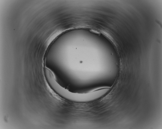 X0000099401047200805221851