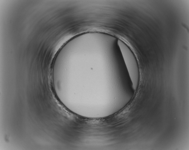 X0000099401048200805221851