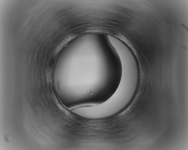 X0000099401049200805221851