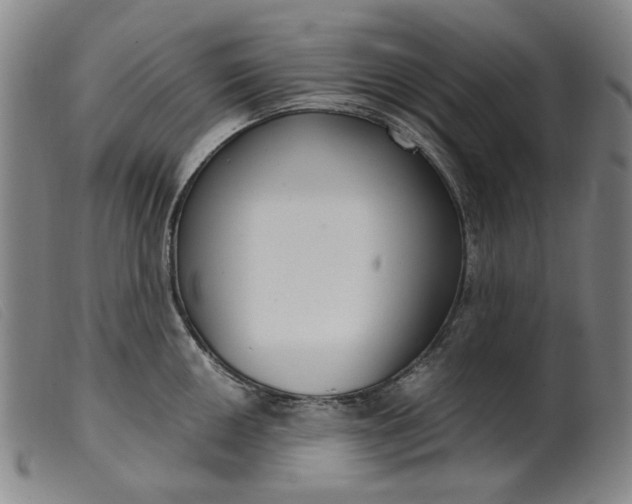 X0000099401050200805221851