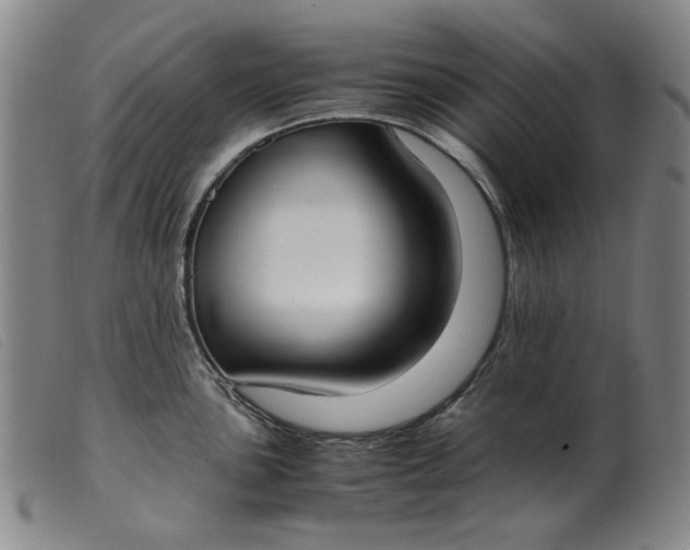 X0000099401051200805221851