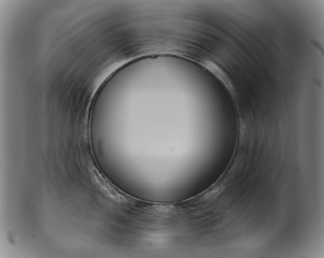 X0000099401052200805221851