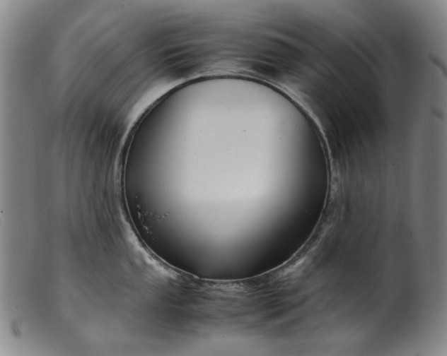 X0000099401053200805221851