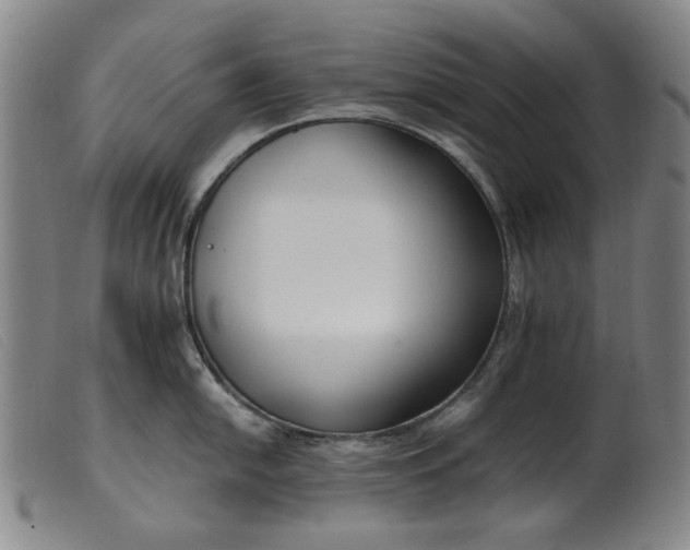 X0000099401054200805221851