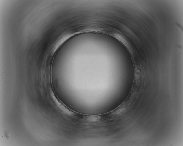 X0000099401055200805221851