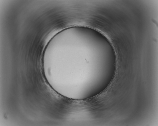 X0000099401056200805221851