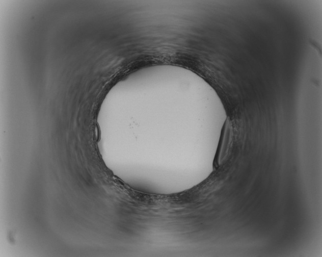 X0000099401057200805221850