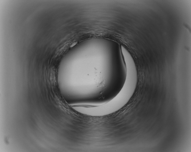 X0000099401058200805221850