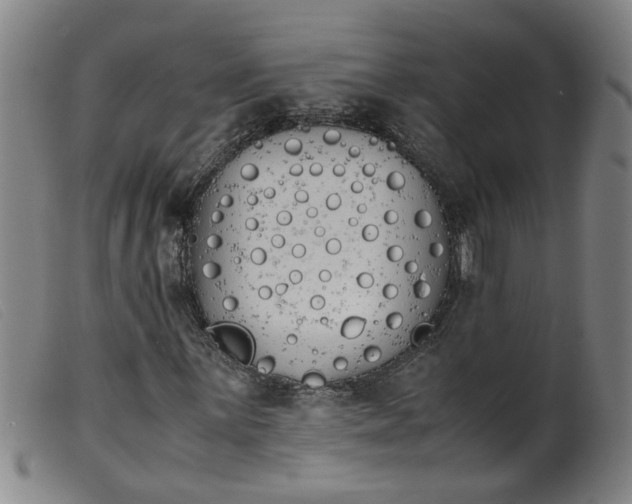 X0000099401059200805221850