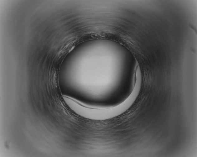 X0000099401060200805221850